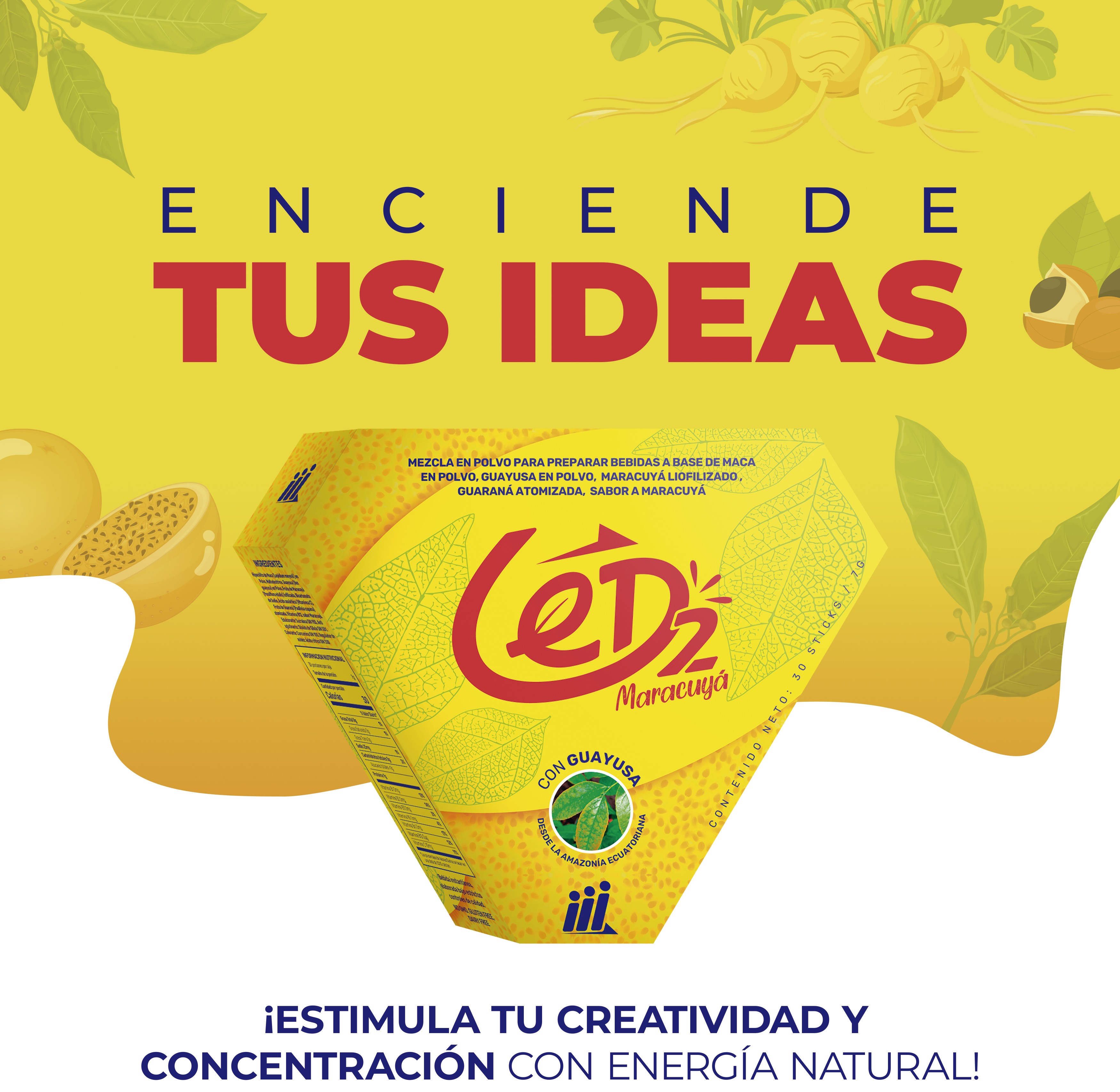 Producto 1