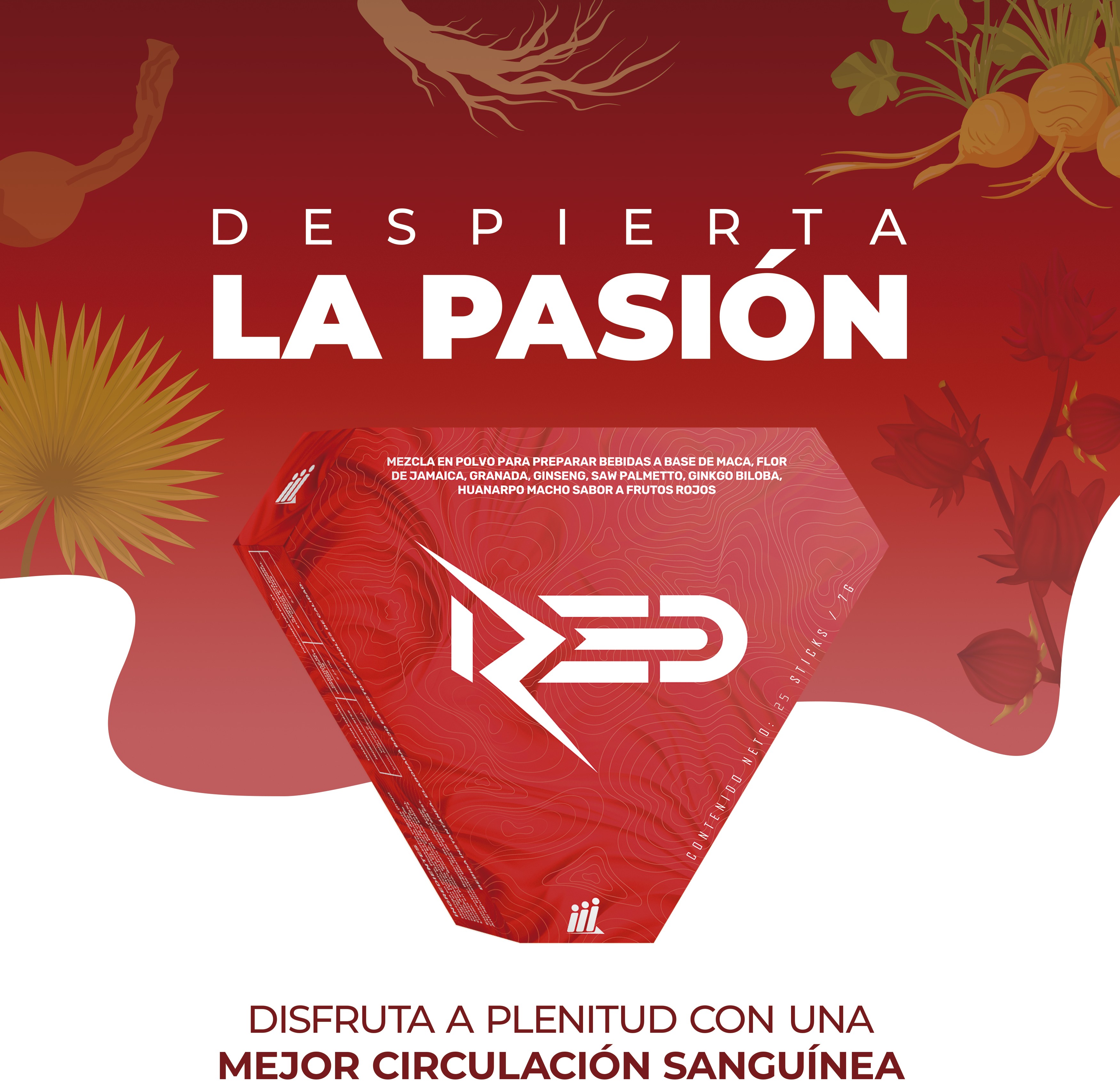 Producto 1